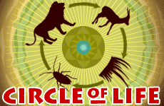 Circle of Life