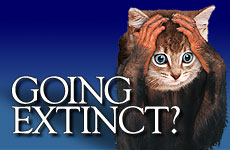 Going Extinct?