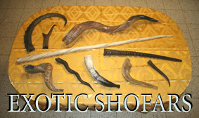 Exotic Shofars